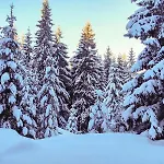 Vikend Kuca Libertas Lägenhet Sisava