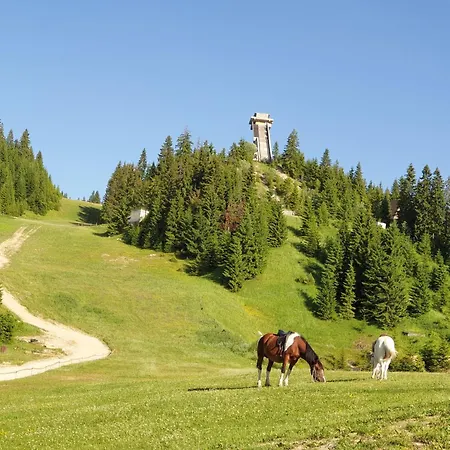 Διαμέρισμα Vikend Kuca Libertas